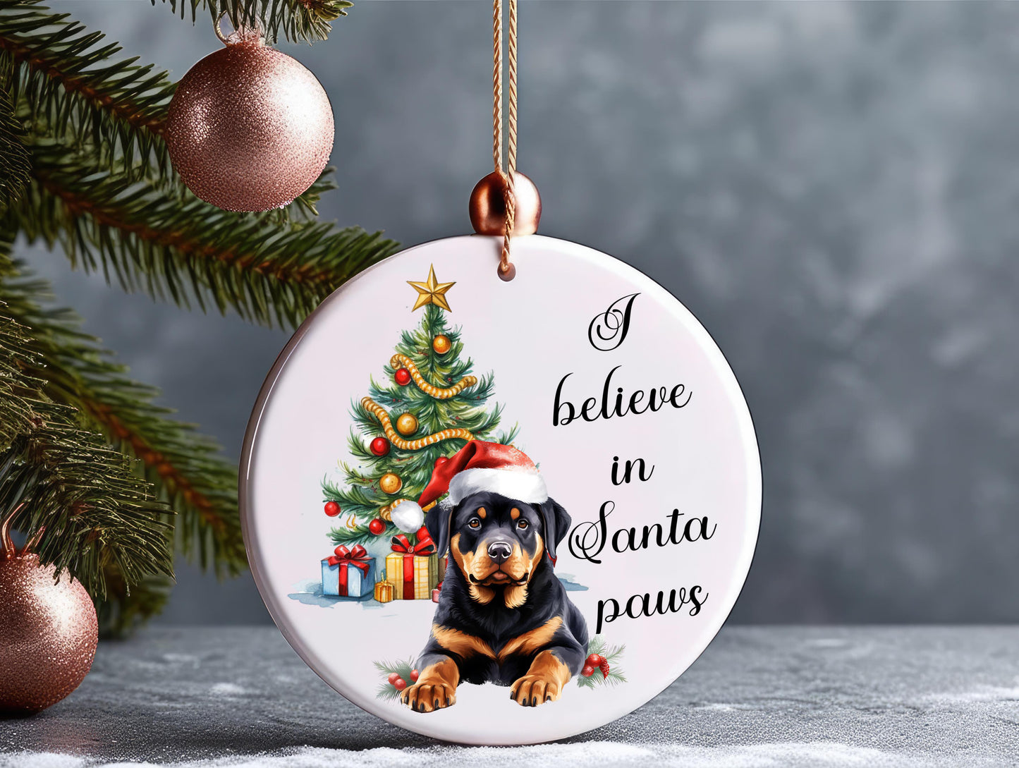 I believe in Santa Paws