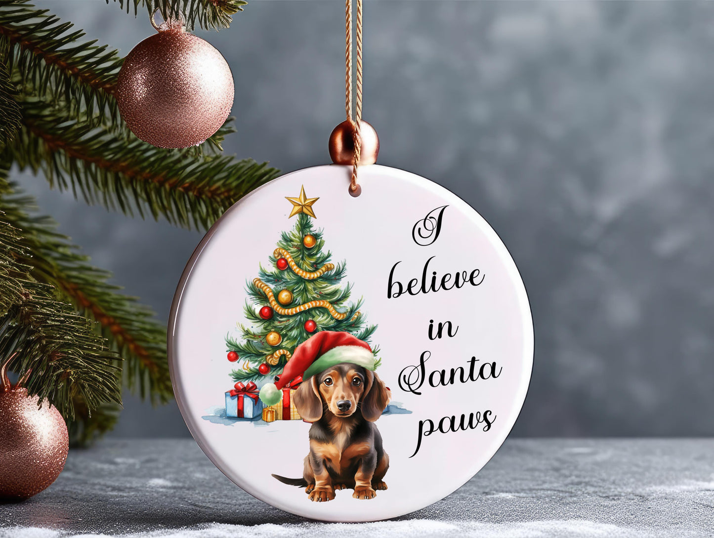 I believe in Santa Paws