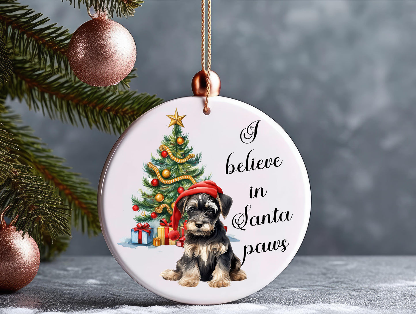 I believe in Santa Paws